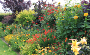 About Bluebirds - Ohio Bluebird Society